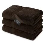 Whistler Premium Bath Towel – Espresso Brown 27″x54″