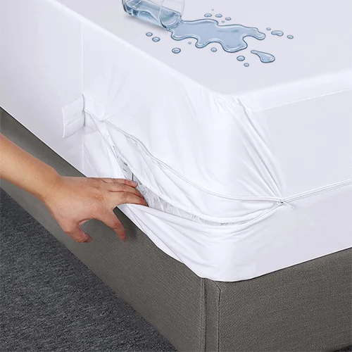 Bed Bug Protectors