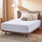 T-180 Economy Fitted Bed Sheet Queen1