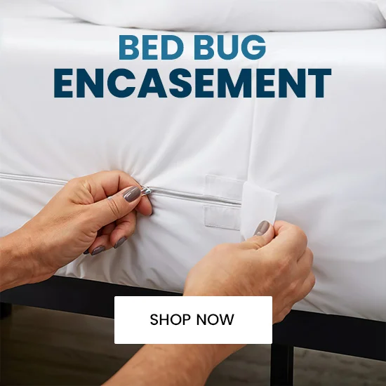 bed-bug-encasement